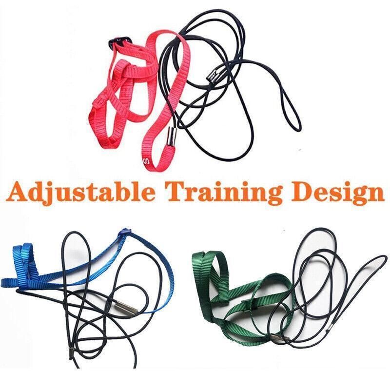 M Pet Parrot Bird Harness Lead Leash Flying Training Rope Cockatiel Outdoor - Blue
