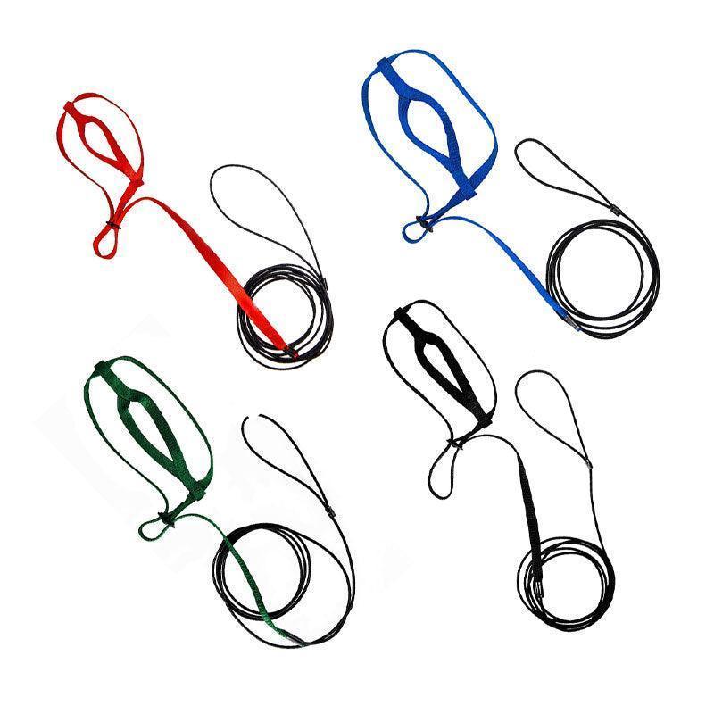 M Pet Parrot Bird Harness Lead Leash Flying Training Rope Cockatiel Outdoor - Green