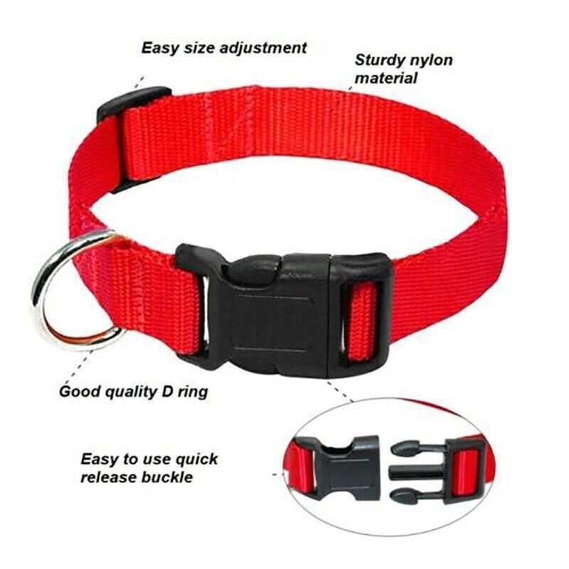 L Size Dog Puppy Pet Collar Adjustable Nylon Toy Large Pink Blue Red Black - Blue