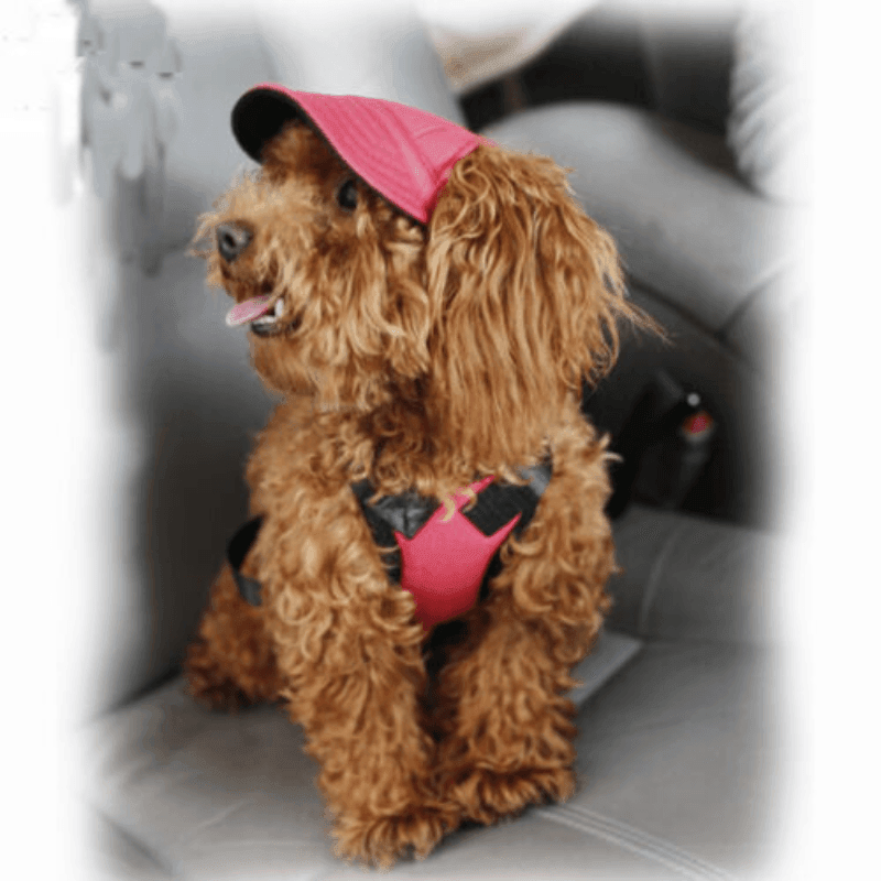 Dog Baseball Cap Outdoor Pet Sun Hat Summer Canvas Visor Puppy S Size - Black
