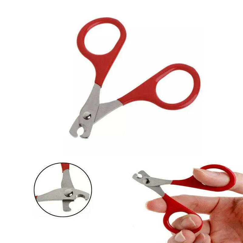 Pet Nail Claw Grooming Scissors Clippers For Dog Cat Bird Rabbit Ferret