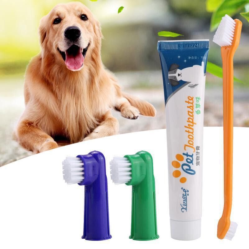 Pet Dog Teeth Cleaning Toothpaste with Toothbrush and Backup Brush Vanilla Flavoured