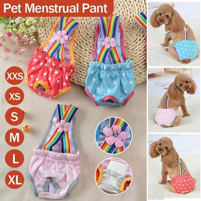 Female Pet Dog Cat Puppy Pant Menstrual Sanitary Nappy Diaper Wrap Underwear Blue - S