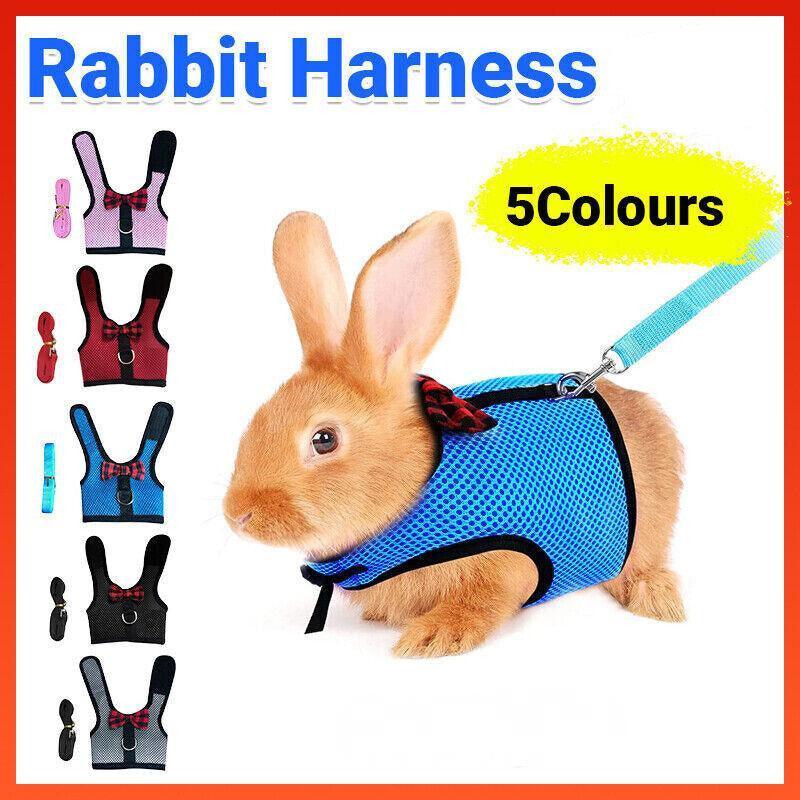 Rabbit Vest Harness Leash Lead Small Animal Pet Mesh Hamster Bunny Traction Rope M - Black