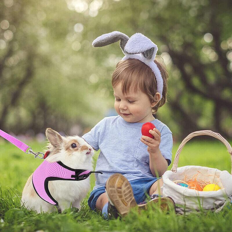 Rabbit Vest Harness Leash Lead Small Animal Pet Mesh Hamster Bunny Traction Rope M - Blue