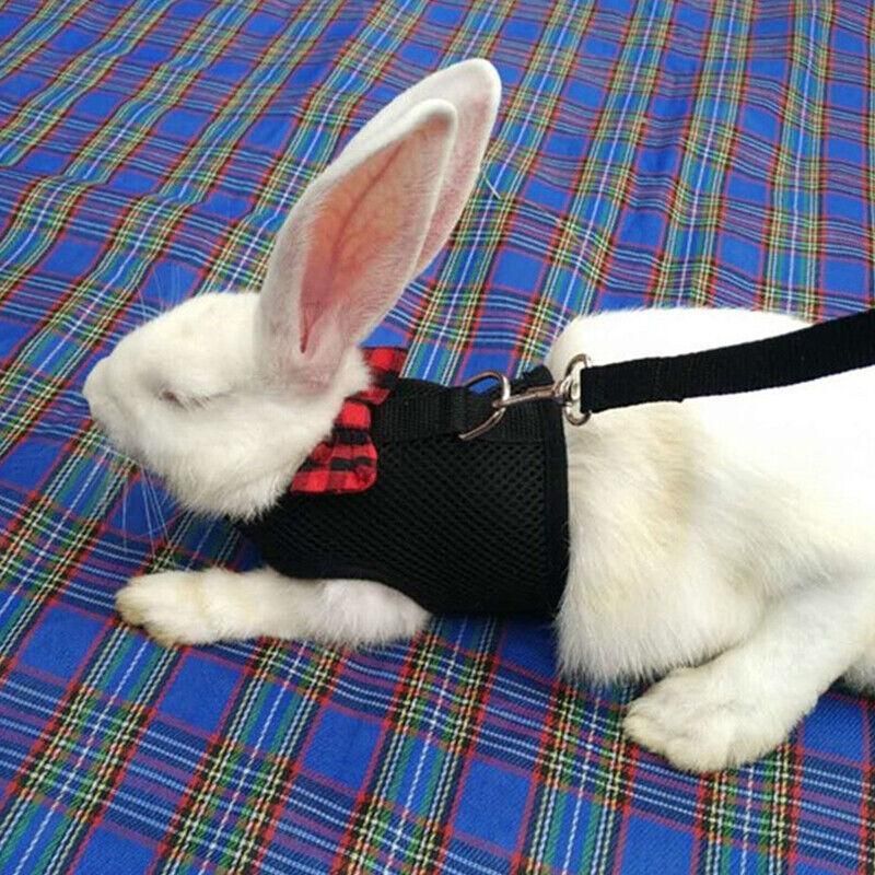 Rabbit Vest Harness Leash Lead Small Animal Pet Mesh Hamster Bunny Traction Rope S - Grey