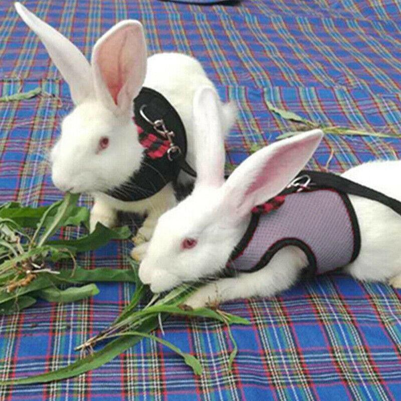 Rabbit Vest Harness Leash Lead Small Animal Pet Mesh Hamster Bunny Traction Rope L - Pink