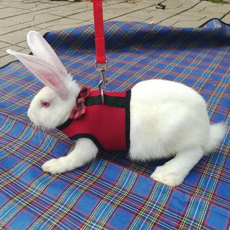 Rabbit Vest Harness Leash Lead Small Animal Pet Mesh Hamster Bunny Traction Rope S - Pink