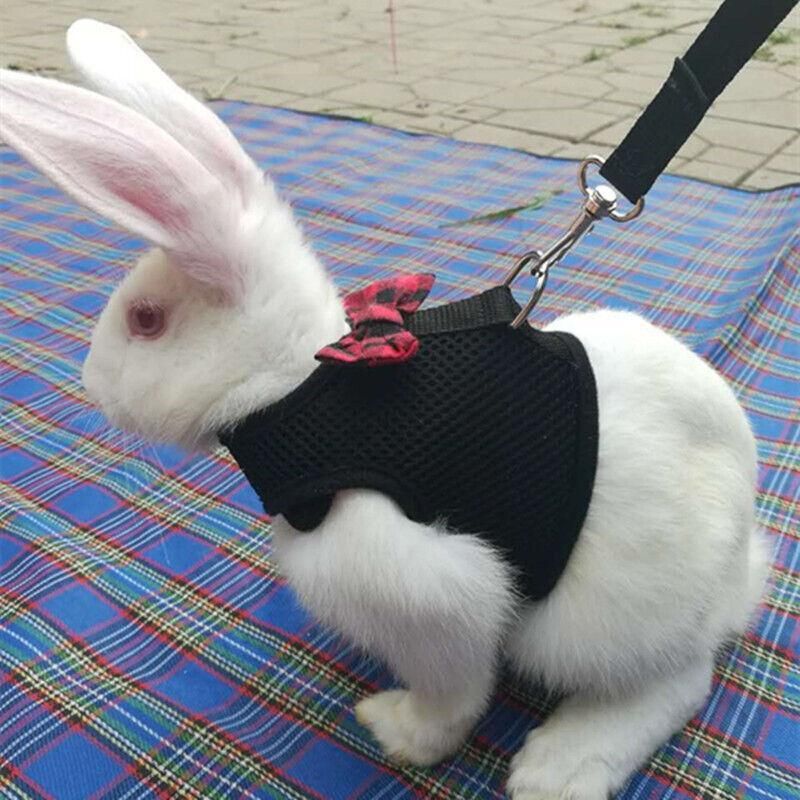 Rabbit Vest Harness Leash Lead Small Animal Pet Mesh Hamster Bunny Traction Rope S - Red