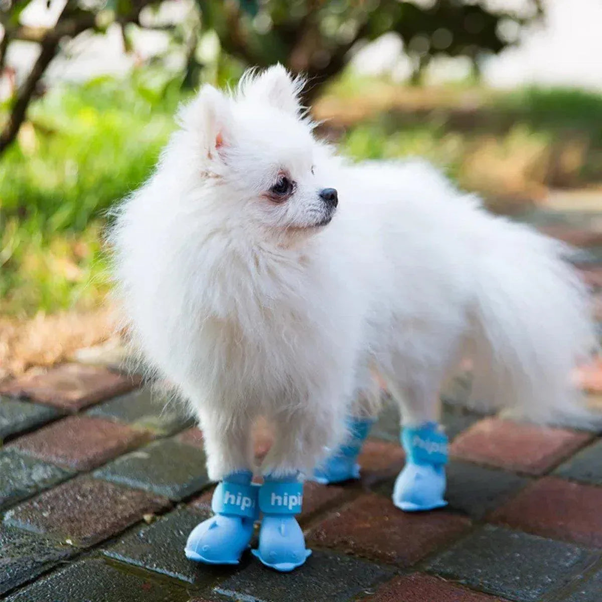 4pcs Cartoon Pet Rain Boots Waterproof Non-Slip Wear-Resistant Shoes for Dogs - Yellow - L