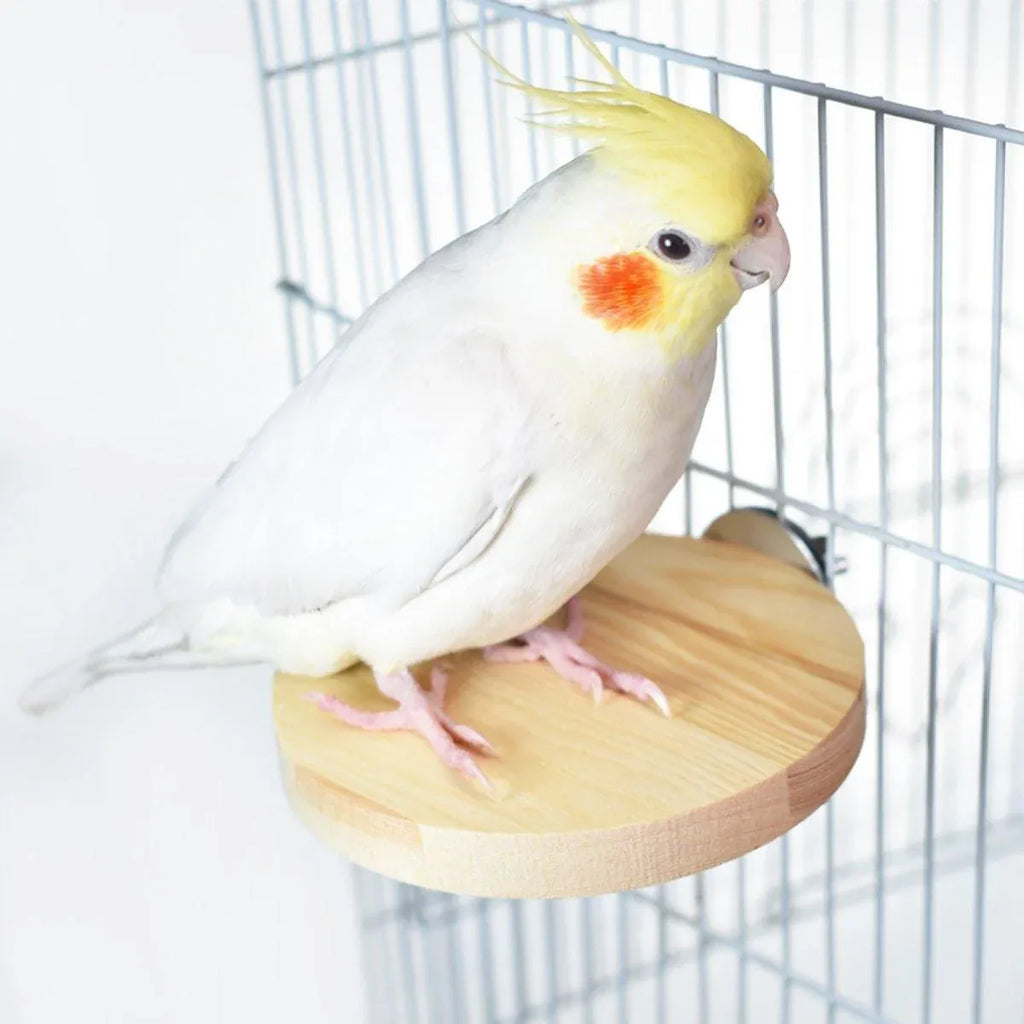 Hamster Parrot Play Stand Jump Platform Squirrel Cage Accessories Gear Pet Toy - A2101 (10*10*1.2cm)