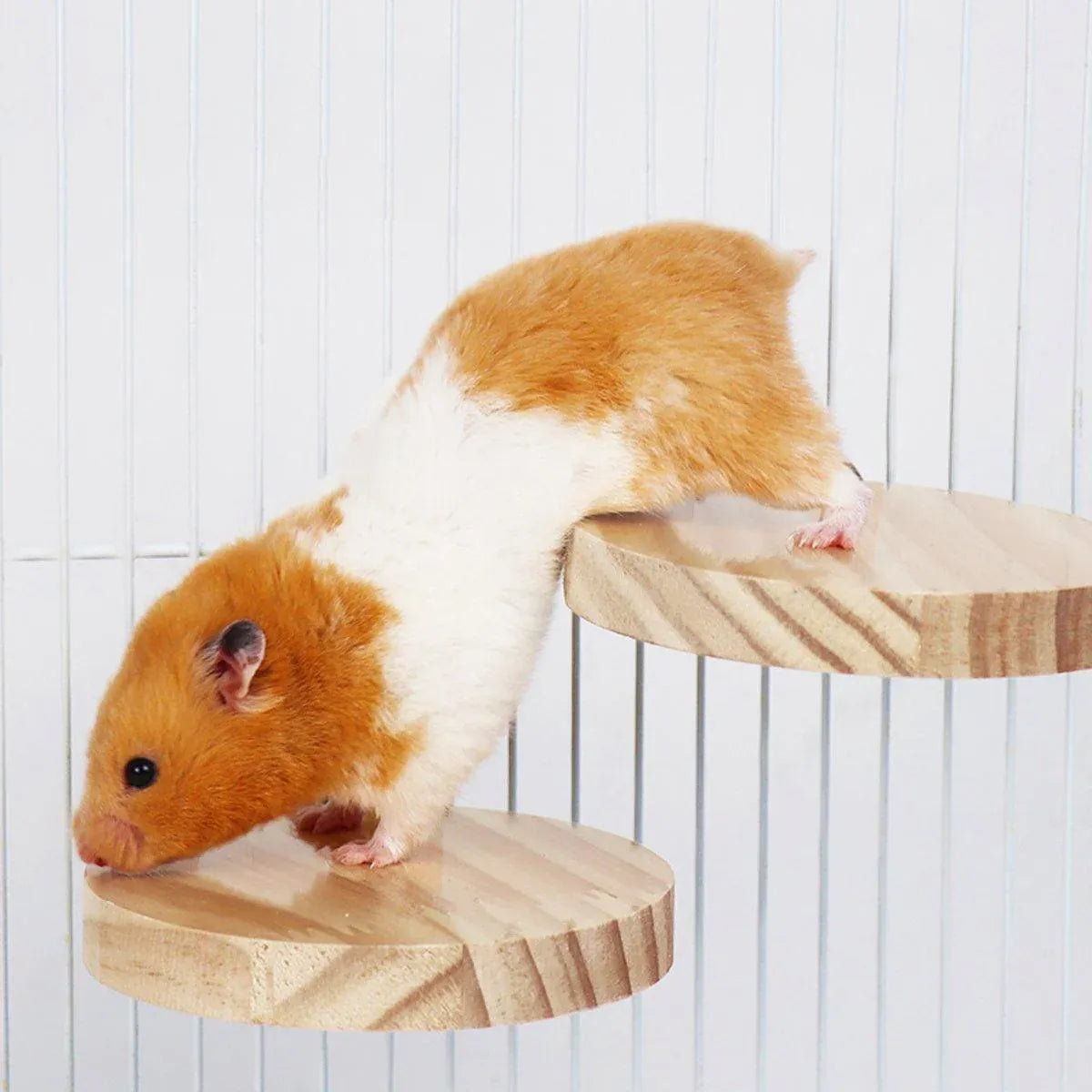 Hamster Parrot Play Stand Jump Platform Squirrel Cage Accessories Gear Pet Toy - A2109 (9.5*9.5*1.5cm)