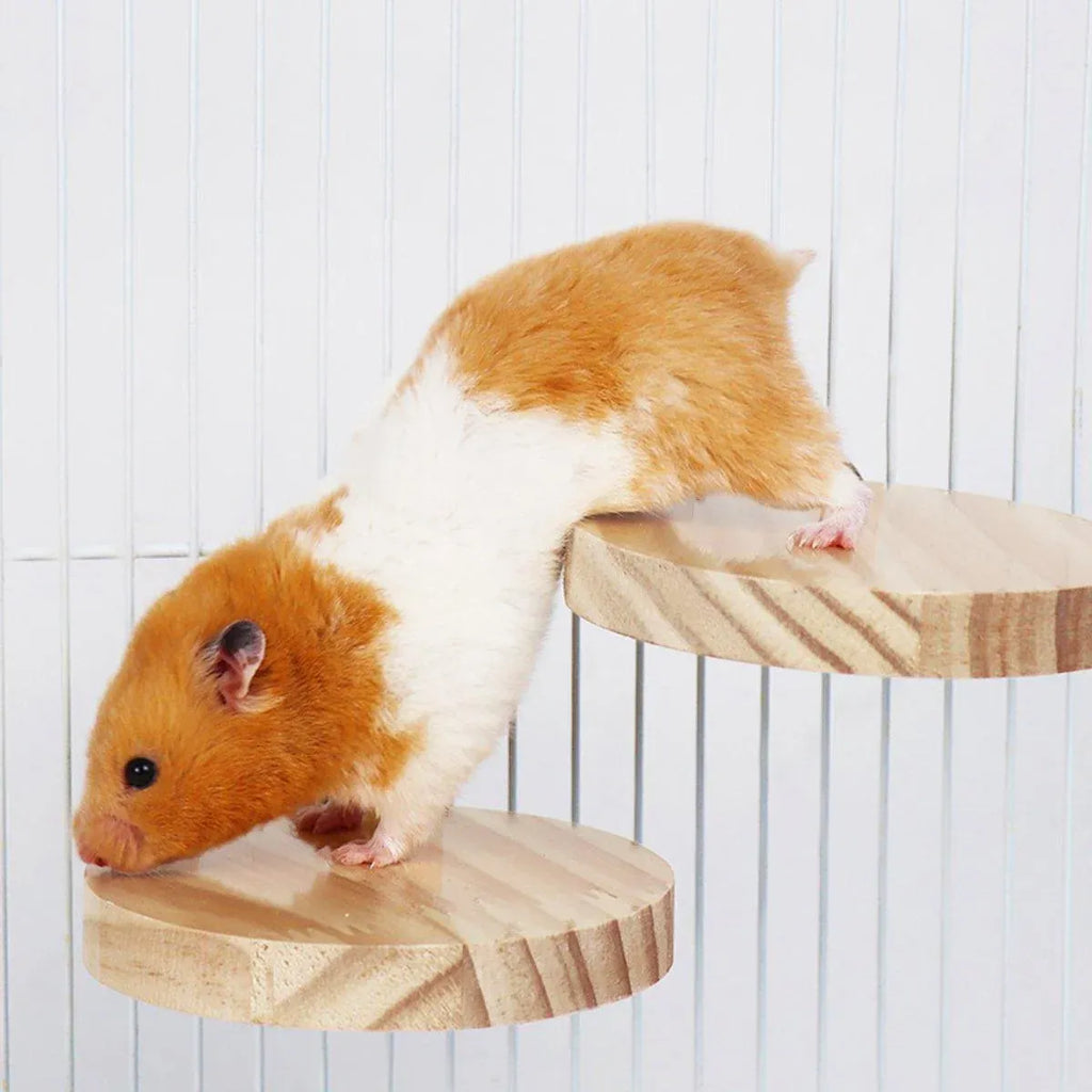 Hamster Parrot Play Stand Jump Platform Squirrel Cage Accessories Gear Pet Toy - A2111 (15*7.5*1.5cm)