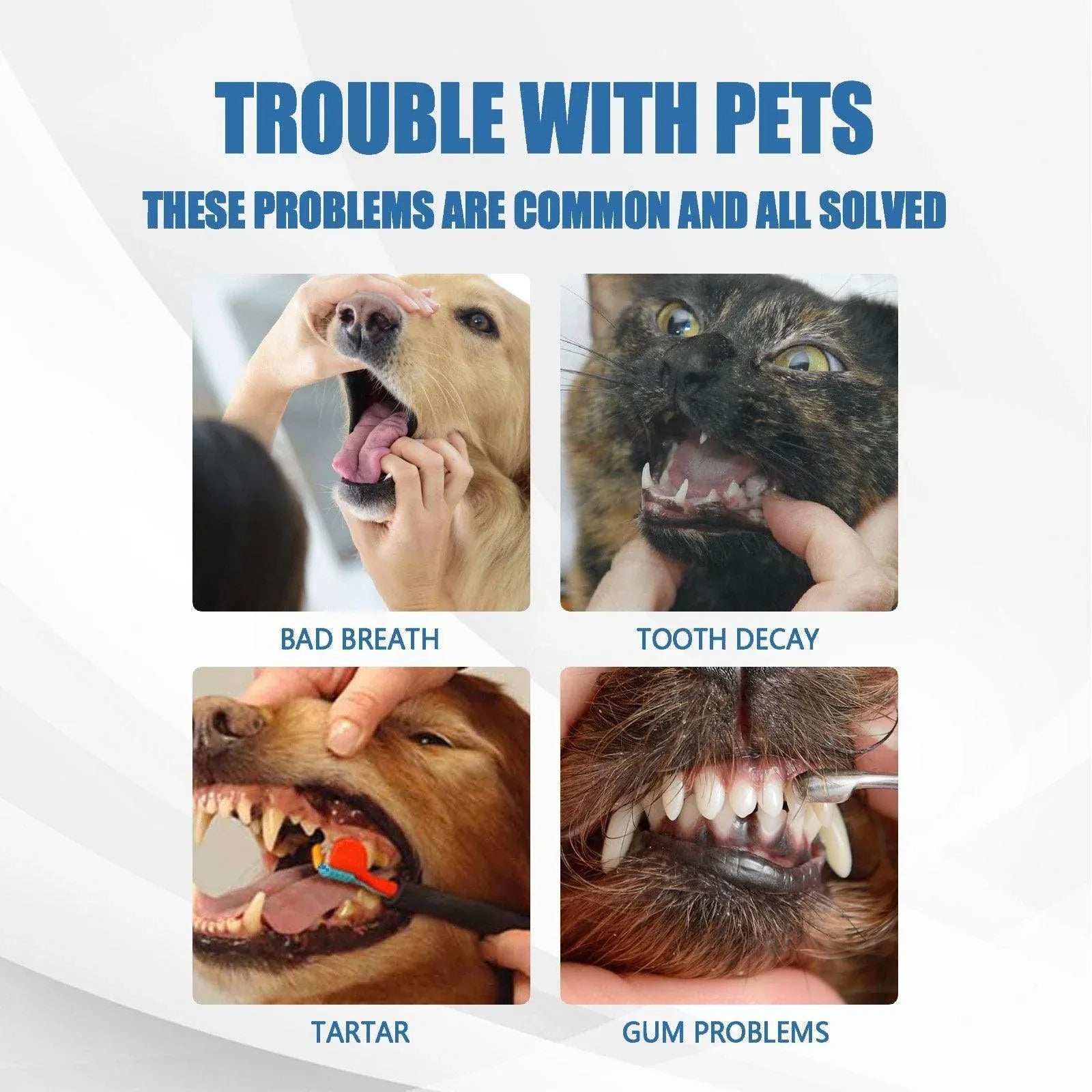 Pet Tartar Remover for Yellow Teeth Bad Breath Cleaning Foam Oral Care Cleaner