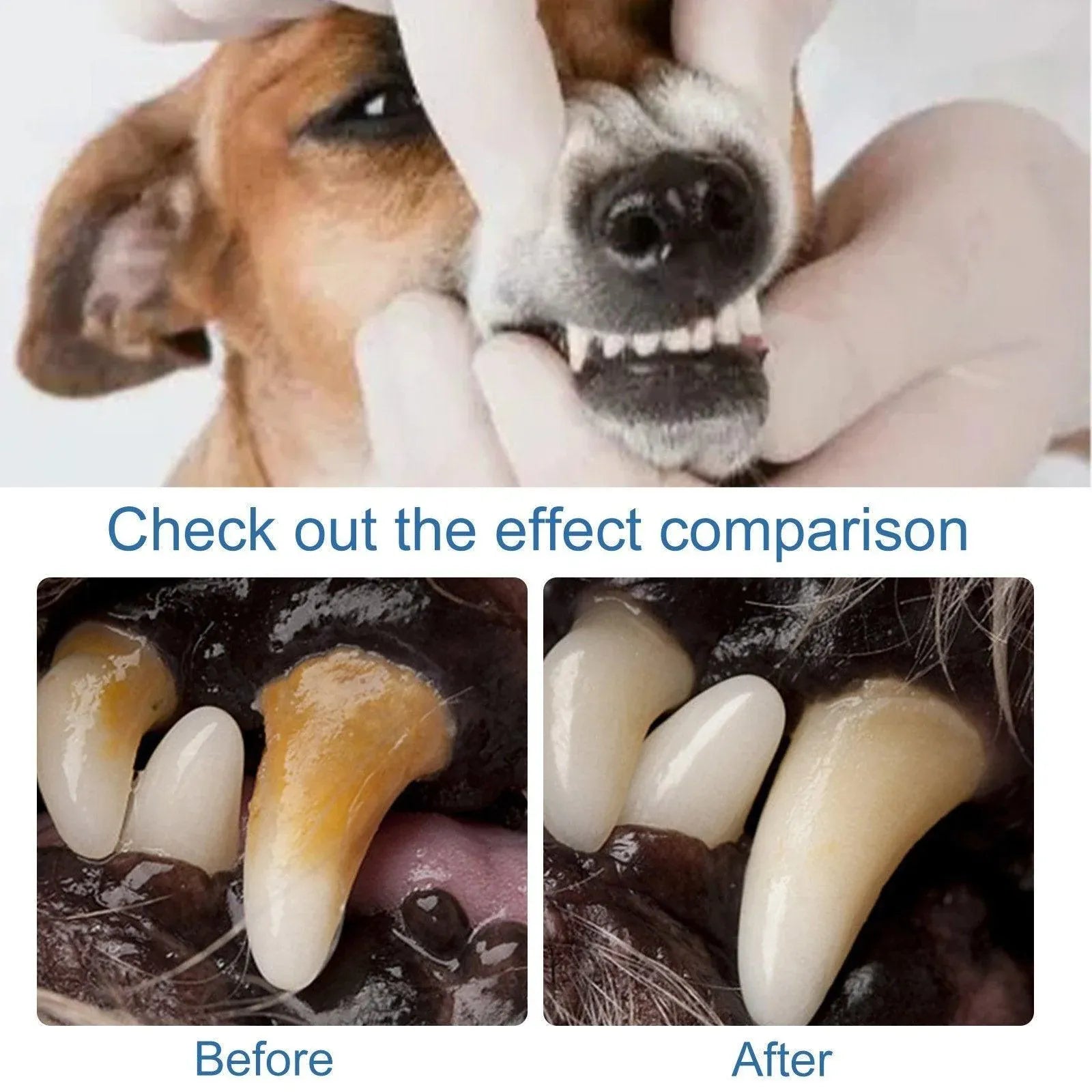 Pet Tartar Remover for Yellow Teeth Bad Breath Cleaning Foam Oral Care Cleaner