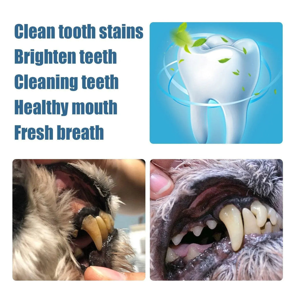 Pet Dental Cleaning Pencil for Dogs Cats Remove Calculus Oral Care Tool Pen
