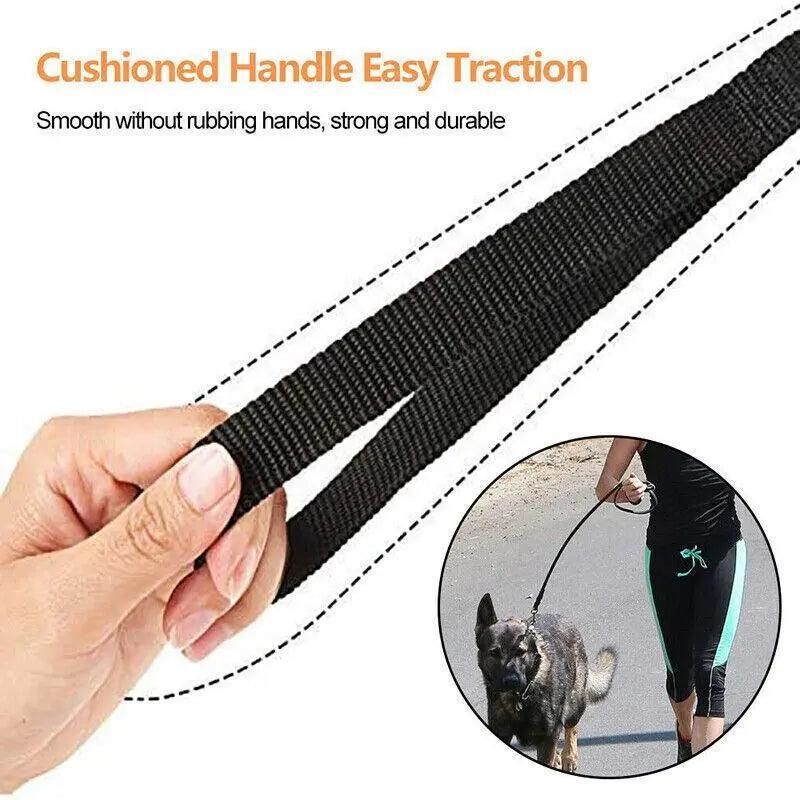 50Ft/15M Long Dog Lead Pet Puppy Leash Training Obedience Recall Walk Tracking - Blue