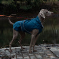 40# Blue Waterproof Reflective Dog Raincoat for Small to Large Dogs