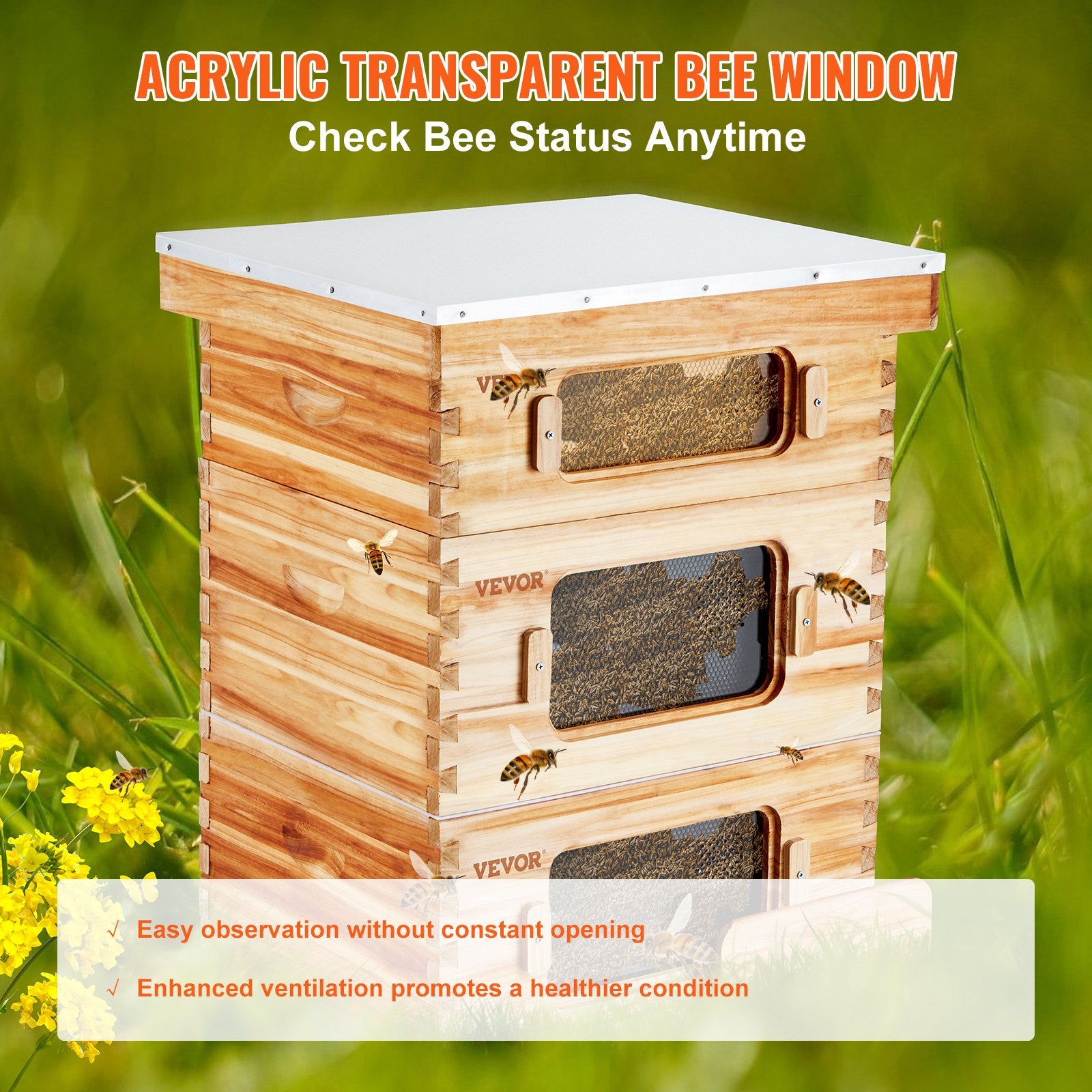 Bee Hive 30 Frame Bee Hives Starter Kit, Beeswax Coated Fir Wood, 2 Deep + 1 Medium Bee Boxes Langstroth Beehive Kit, Transparent Acrylic Windows with Foundations for Beginners Pro Beekeepers