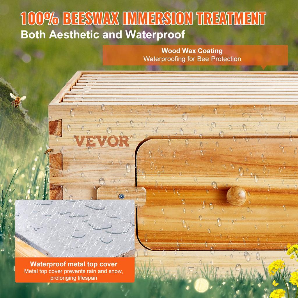 Bee Hive 30 Frame Bee Hives Starter Kit, Beeswax Coated Fir Wood, 2 Deep + 1 Medium Bee Boxes Langstroth Beehive Kit, Transparent Acrylic Windows with Foundations for Beginners Pro Beekeepers
