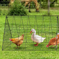 Chicken Tunnels, 729 x 200 x 61.5cm(LxWxH) Chicken Tunnels for Yard, Portable Chicken Tunnels for Outside with Corner Frames, 2 Sets, Suitable for Chickens, Ducks, Rabbits